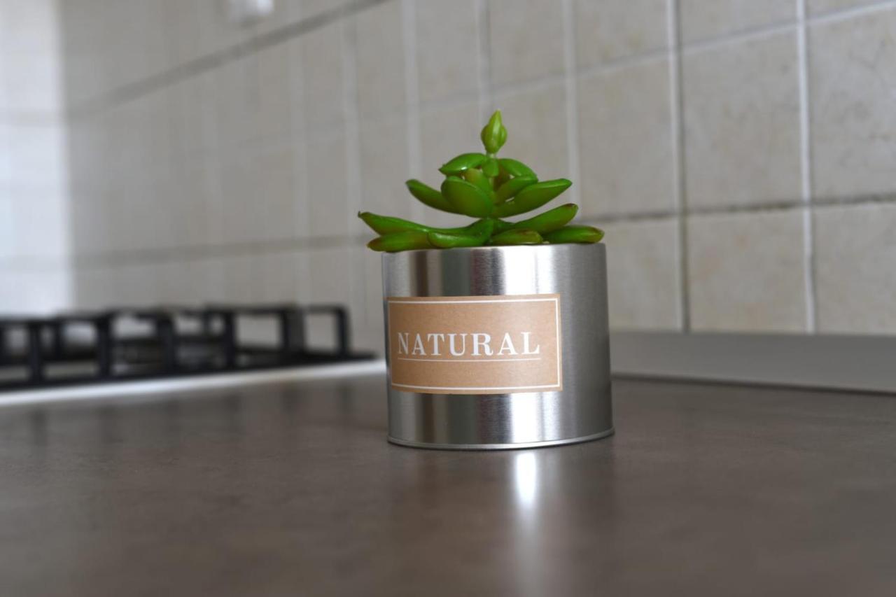 Apartman Vinika 扎达尔 外观 照片